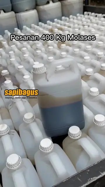 Pemesanan-400-Kg-Molases